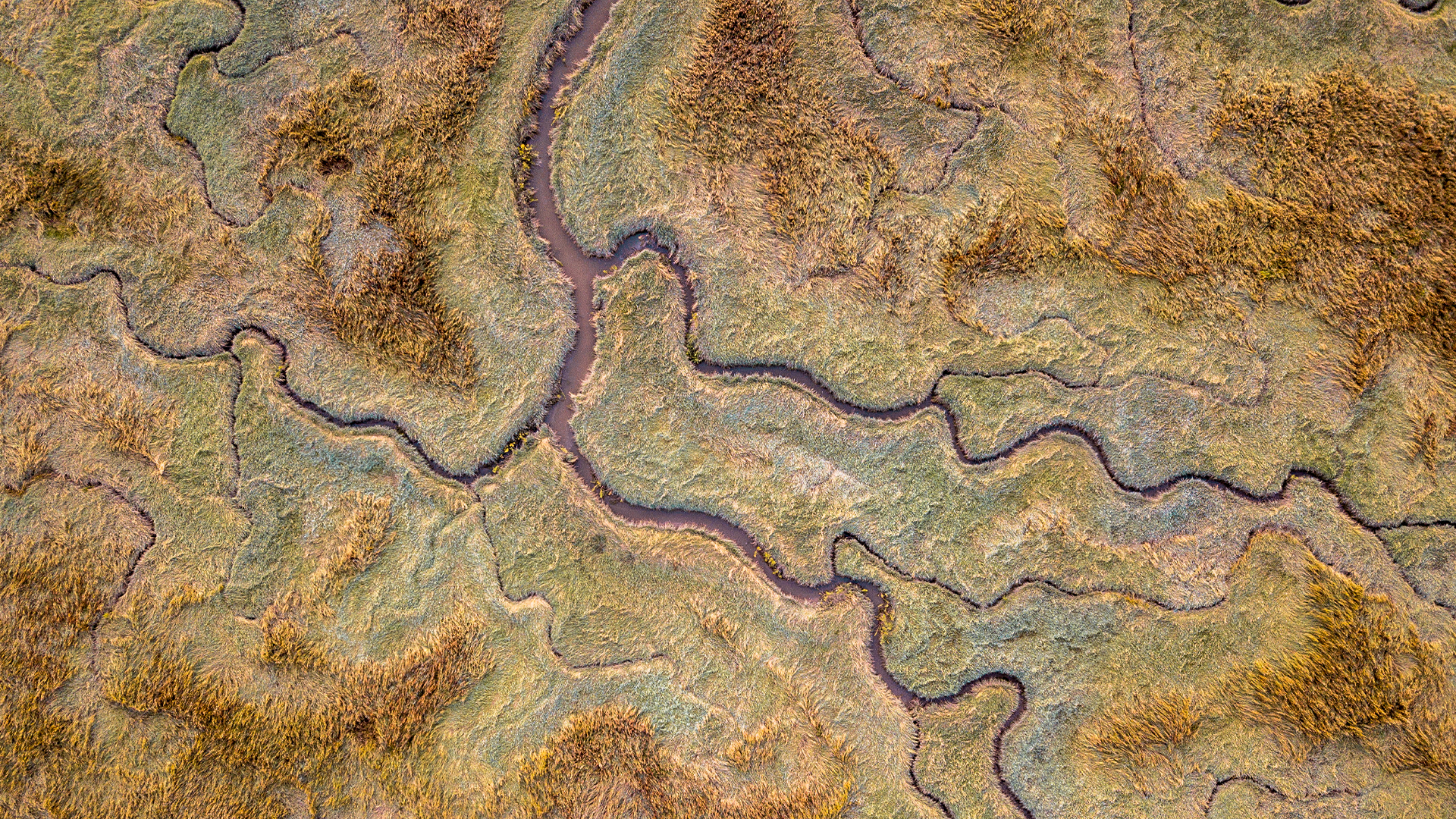 Our commitment to 'Invest in Our Planet'