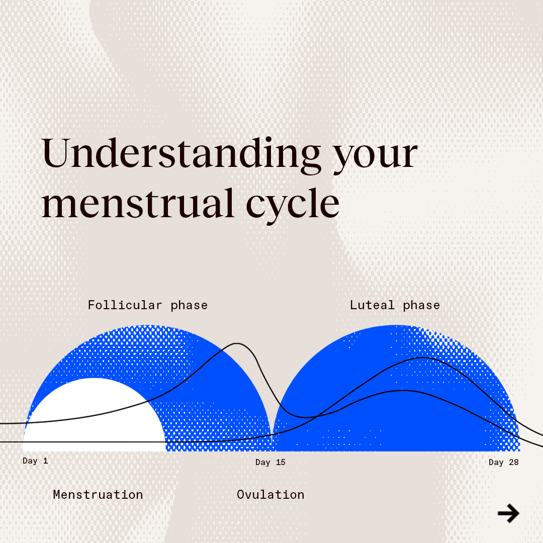 What is a menstrual cycle and how is it different from a period?