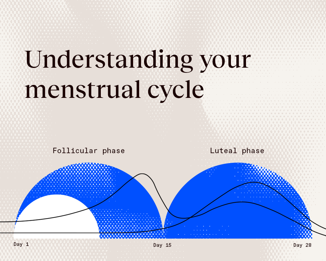 What is a menstrual cycle and how is it different from a period?